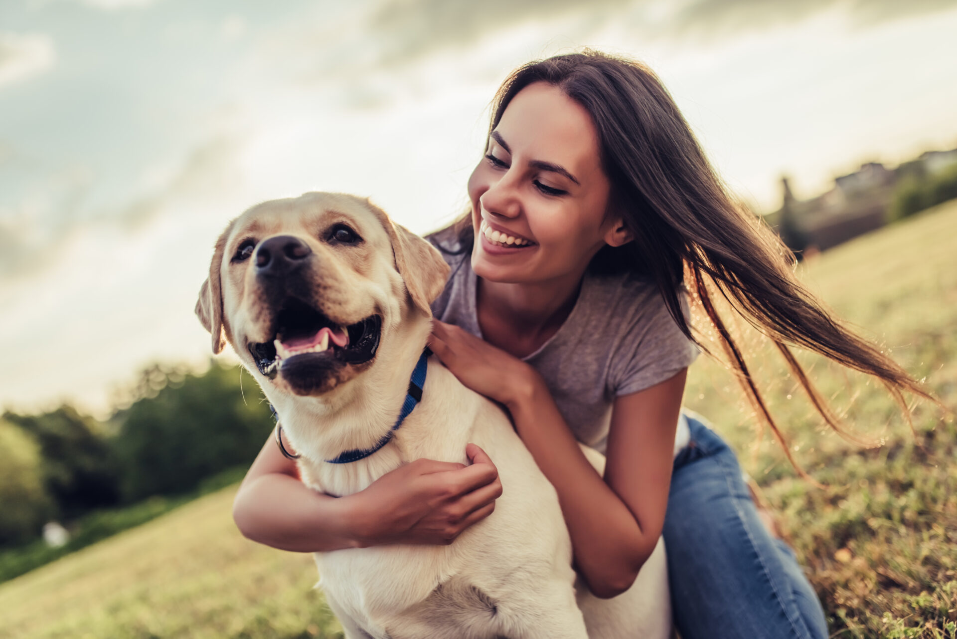 AdobeStock 170844396 - Montclair Veterinary Associates