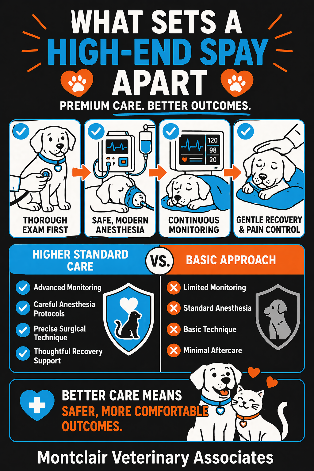 High-end spay services infographic