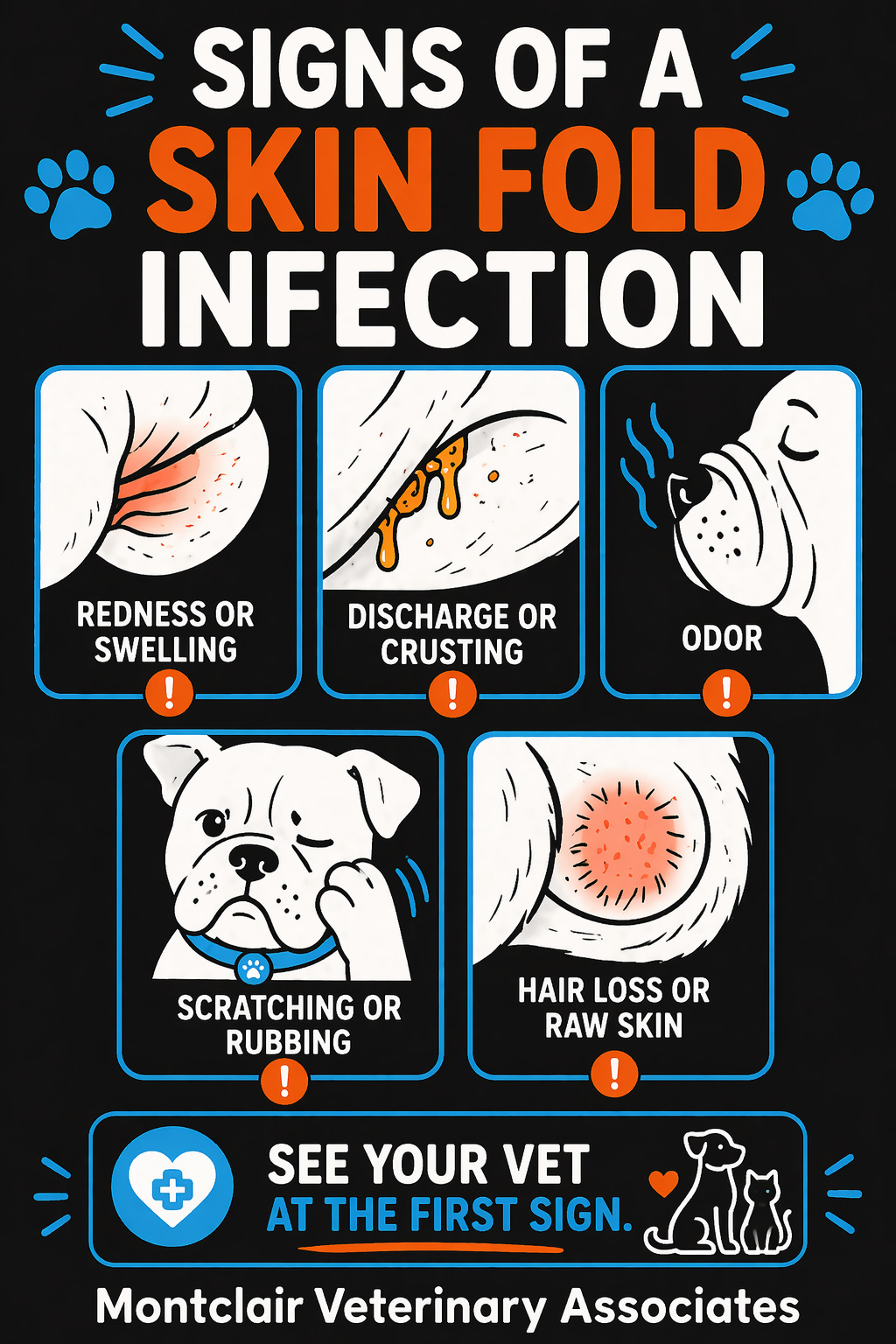 Signs of a skin fold infection - Montclair Veterinary Associates