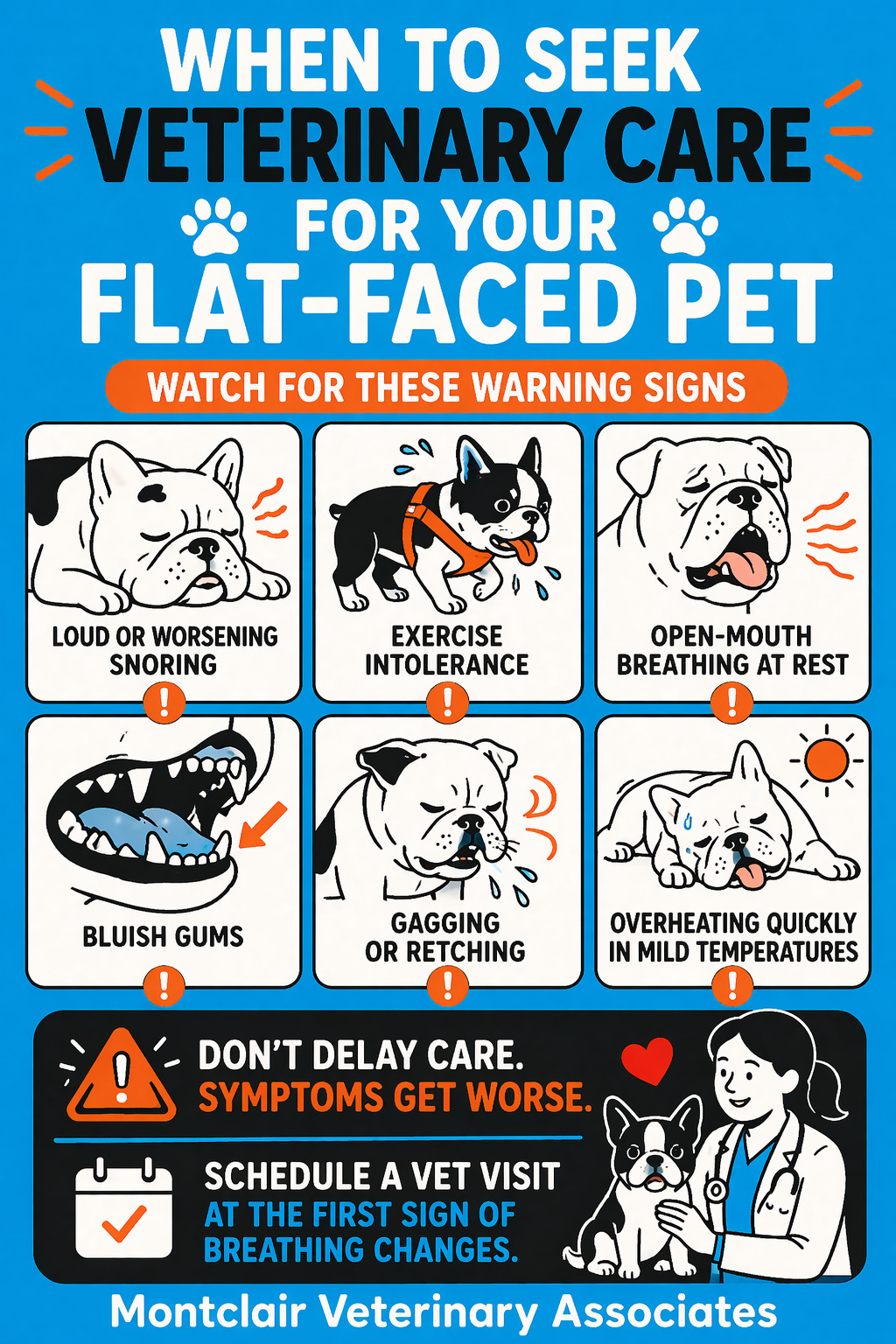 Signs your flat faced pet needs care - Montclair Veterinary Associates
