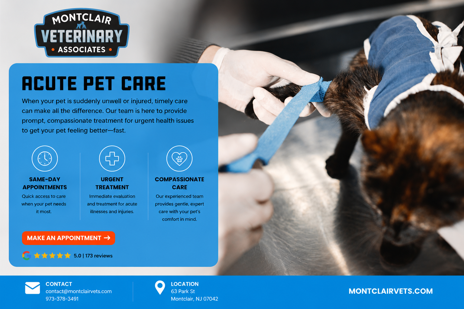 Acute pet urgent care at Montclair Veterinary Associates in Montclair NJ