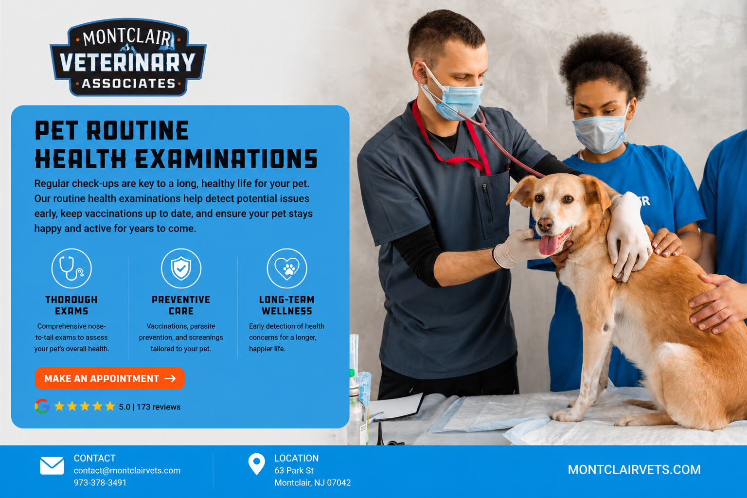 Pet routine health examinations in Montclair, NJ