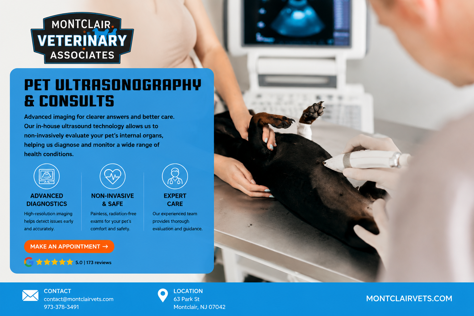 Pet ultrasonography consult in Montclair NJ at Montclair Veterinary Associates