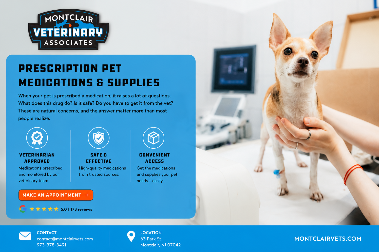 Veterinarian explaining prescription pet medication to pet owner in Montclair NJ